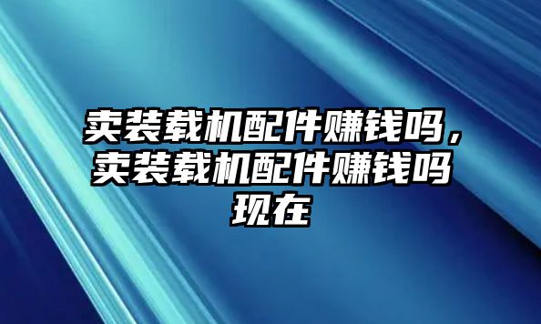 賣裝載機配件賺錢嗎，賣裝載機配件賺錢嗎現(xiàn)在