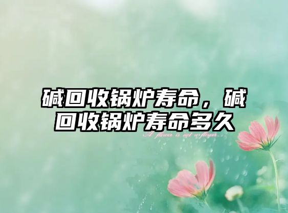 堿回收鍋爐壽命，堿回收鍋爐壽命多久