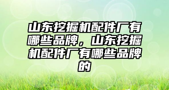 山東挖掘機配件廠有哪些品牌，山東挖掘機配件廠有哪些品牌的