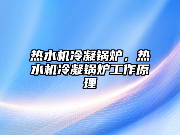 熱水機冷凝鍋爐，熱水機冷凝鍋爐工作原理