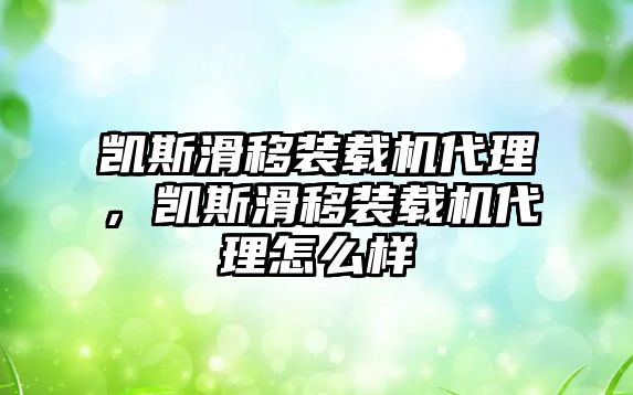 凱斯滑移裝載機(jī)代理，凱斯滑移裝載機(jī)代理怎么樣