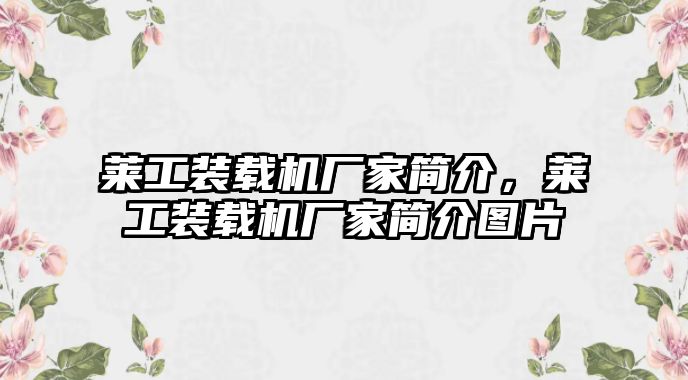 萊工裝載機廠家簡介，萊工裝載機廠家簡介圖片