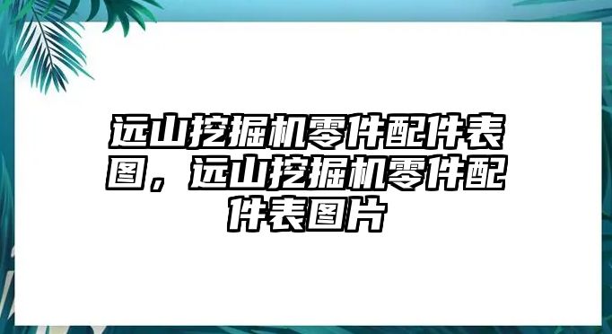 遠山挖掘機零件配件表圖，遠山挖掘機零件配件表圖片