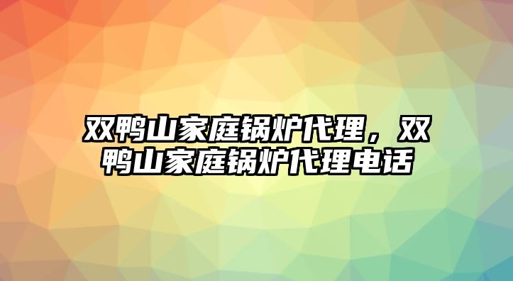 雙鴨山家庭鍋爐代理，雙鴨山家庭鍋爐代理電話