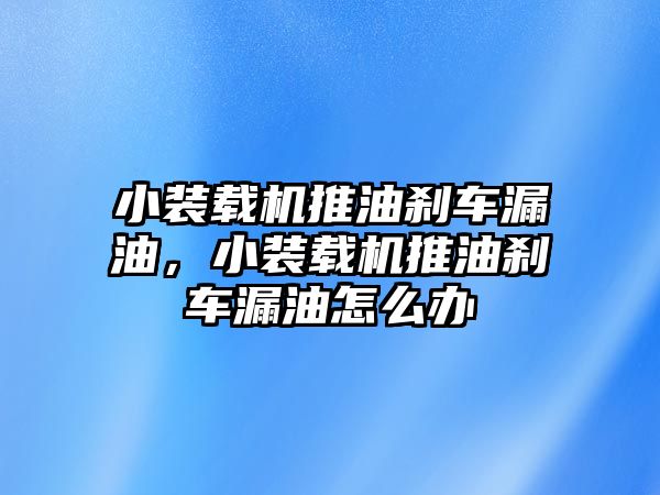 小裝載機(jī)推油剎車漏油，小裝載機(jī)推油剎車漏油怎么辦