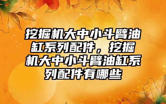 挖掘機大中小斗臂油缸系列配件，挖掘機大中小斗臂油缸系列配件有哪些