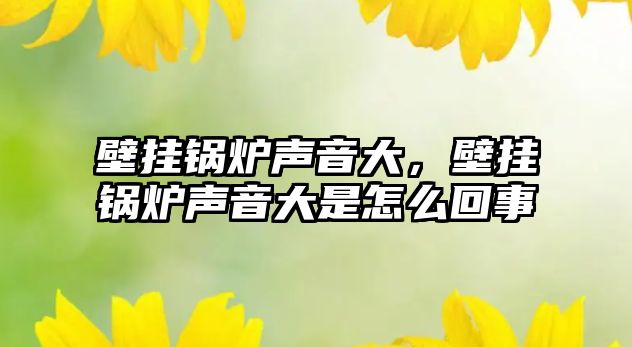 壁掛鍋爐聲音大，壁掛鍋爐聲音大是怎么回事