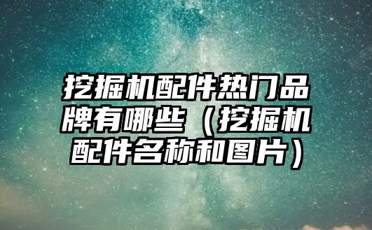 挖掘機配件熱門品牌有哪些（挖掘機配件名稱和圖片）