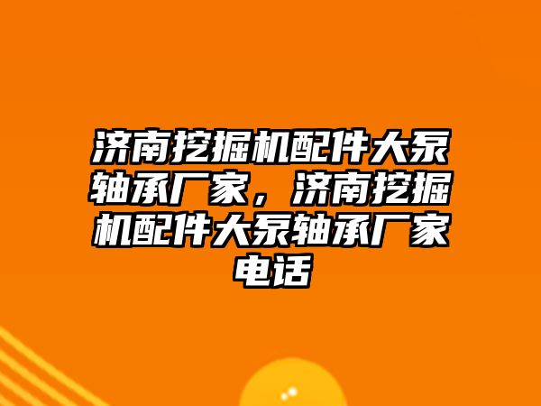 濟南挖掘機配件大泵軸承廠家，濟南挖掘機配件大泵軸承廠家電話