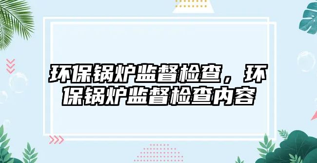 環保鍋爐監督檢查，環保鍋爐監督檢查內容