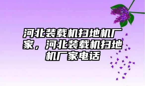 河北裝載機掃地機廠家，河北裝載機掃地機廠家電話