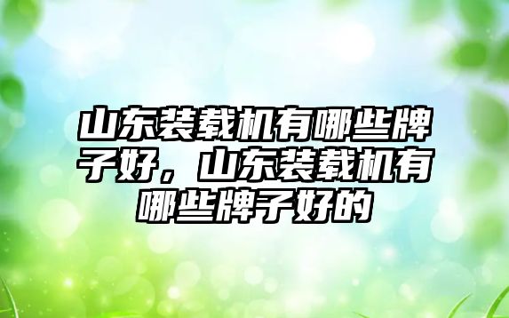 山東裝載機有哪些牌子好，山東裝載機有哪些牌子好的