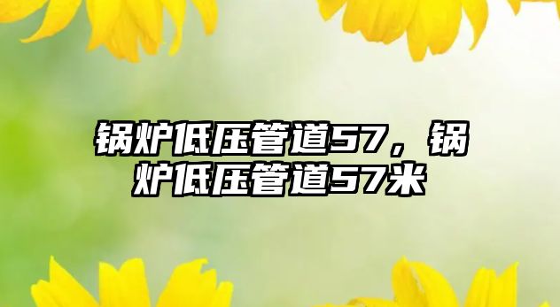 鍋爐低壓管道57，鍋爐低壓管道57米