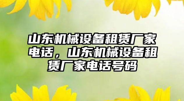 山東機械設(shè)備租賃廠家電話，山東機械設(shè)備租賃廠家電話號碼