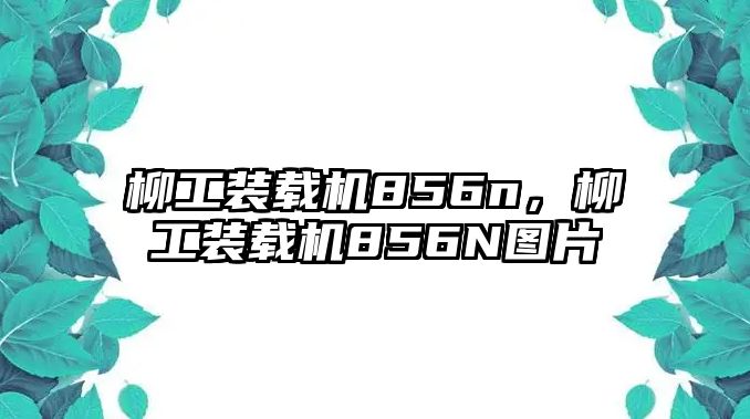 柳工裝載機(jī)856n，柳工裝載機(jī)856N圖片