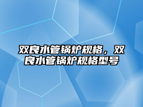 雙良水管鍋爐規格，雙良水管鍋爐規格型號