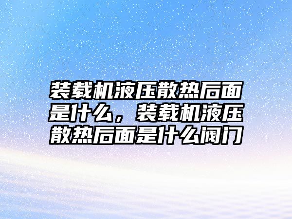 裝載機(jī)液壓散熱后面是什么，裝載機(jī)液壓散熱后面是什么閥門(mén)