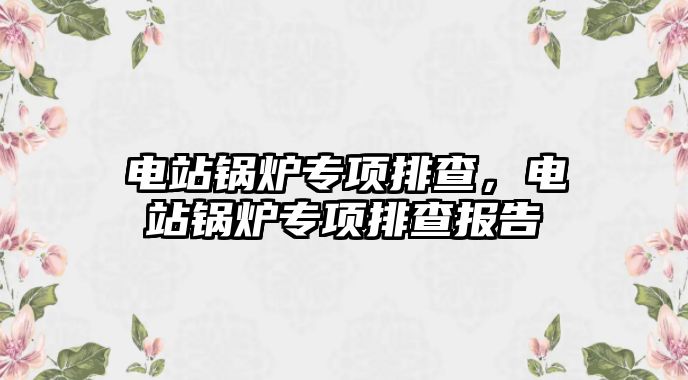 電站鍋爐專項排查，電站鍋爐專項排查報告