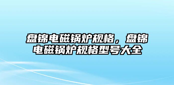 盤錦電磁鍋爐規格，盤錦電磁鍋爐規格型號大全