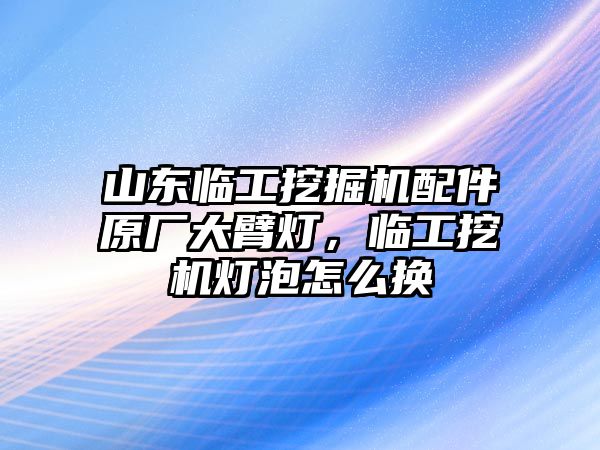 山東臨工挖掘機配件原廠大臂燈，臨工挖機燈泡怎么換