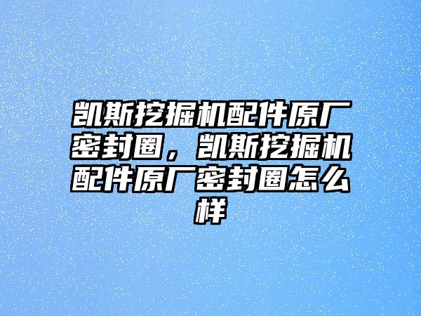 凱斯挖掘機配件原廠密封圈，凱斯挖掘機配件原廠密封圈怎么樣