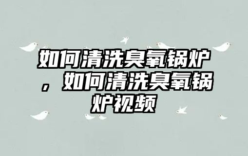 如何清洗臭氧鍋爐，如何清洗臭氧鍋爐視頻