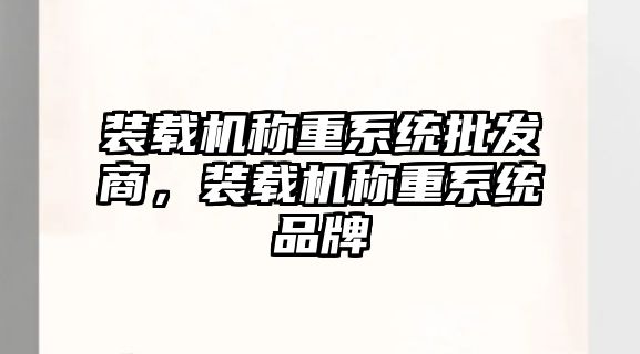 裝載機稱重系統批發商，裝載機稱重系統品牌