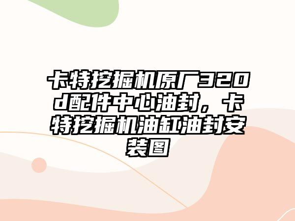 卡特挖掘機原廠320d配件中心油封，卡特挖掘機油缸油封安裝圖