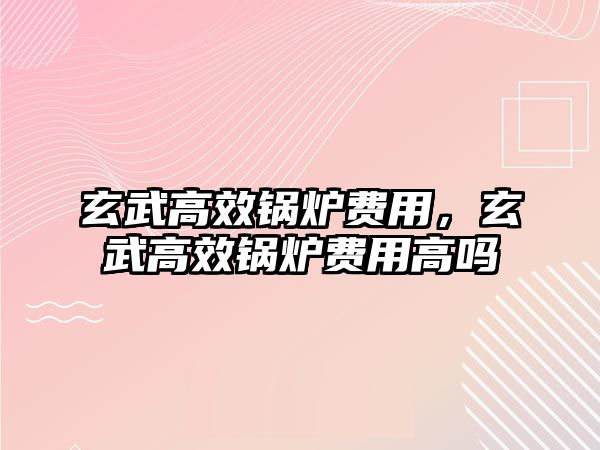 玄武高效鍋爐費用，玄武高效鍋爐費用高嗎