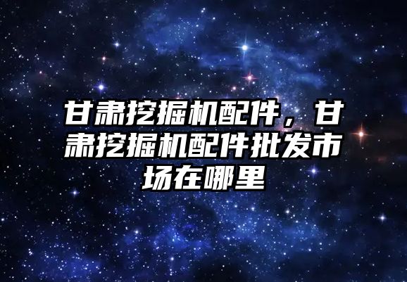 甘肅挖掘機配件，甘肅挖掘機配件批發(fā)市場在哪里