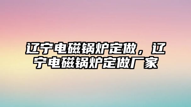 遼寧電磁鍋爐定做，遼寧電磁鍋爐定做廠家