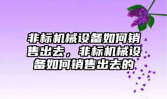 非標機械設備如何銷售出去，非標機械設備如何銷售出去的