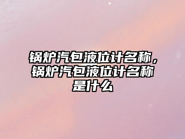 鍋爐汽包液位計名稱，鍋爐汽包液位計名稱是什么