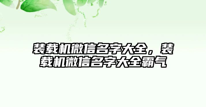 裝載機微信名字大全，裝載機微信名字大全霸氣