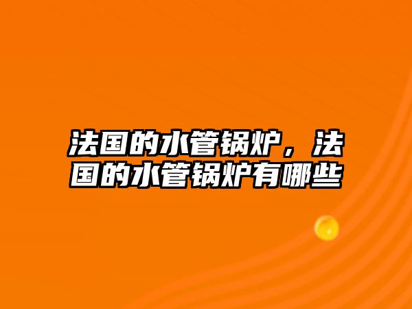 法國的水管鍋爐，法國的水管鍋爐有哪些