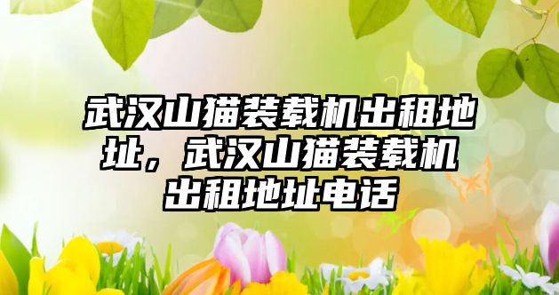 武漢山貓裝載機(jī)出租地址，武漢山貓裝載機(jī)出租地址電話