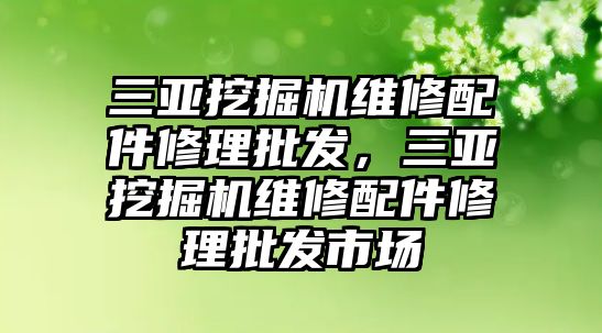 三亞挖掘機(jī)維修配件修理批發(fā)，三亞挖掘機(jī)維修配件修理批發(fā)市場