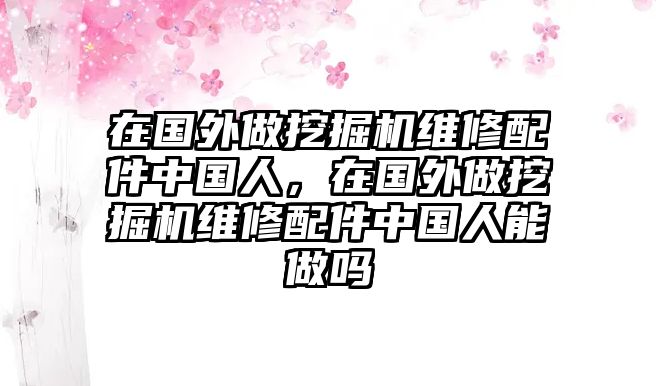 在國外做挖掘機維修配件中國人，在國外做挖掘機維修配件中國人能做嗎