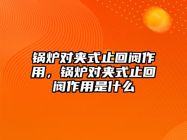 鍋爐對(duì)夾式止回閥作用，鍋爐對(duì)夾式止回閥作用是什么