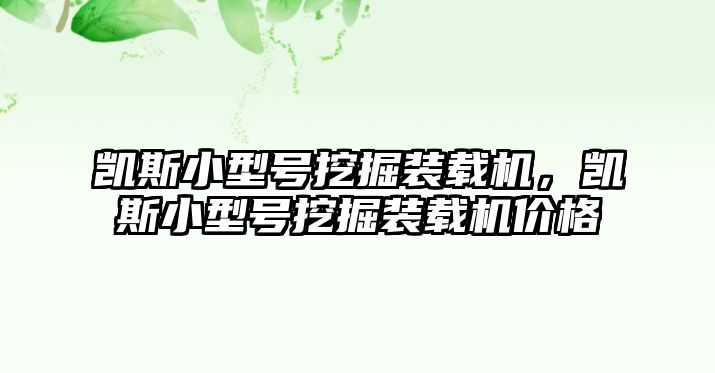 凱斯小型號挖掘裝載機，凱斯小型號挖掘裝載機價格