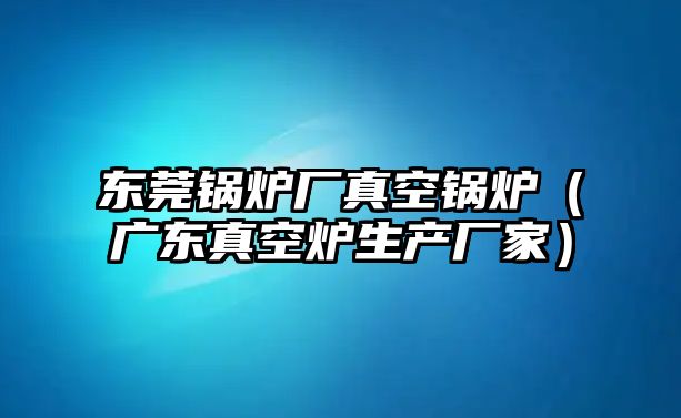 東莞鍋爐廠真空鍋爐（廣東真空爐生產廠家）