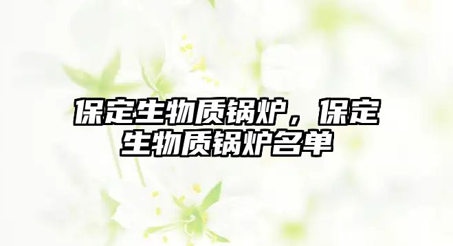 保定生物質鍋爐，保定生物質鍋爐名單