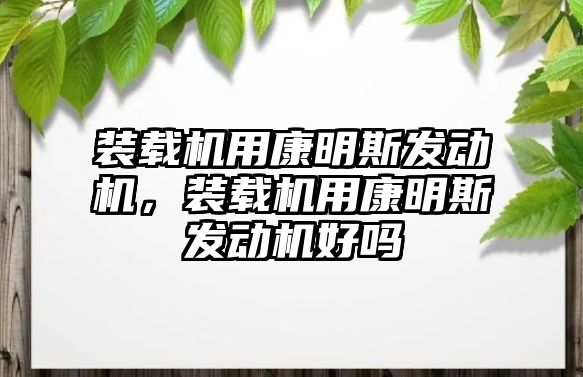 裝載機用康明斯發動機，裝載機用康明斯發動機好嗎