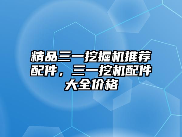 精品三一挖掘機推薦配件，三一挖機配件大全價格