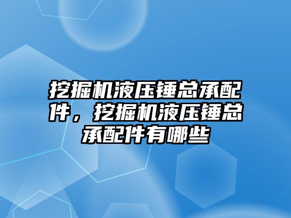 挖掘機液壓錘總承配件，挖掘機液壓錘總承配件有哪些