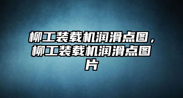 柳工裝載機(jī)潤滑點(diǎn)圖，柳工裝載機(jī)潤滑點(diǎn)圖片