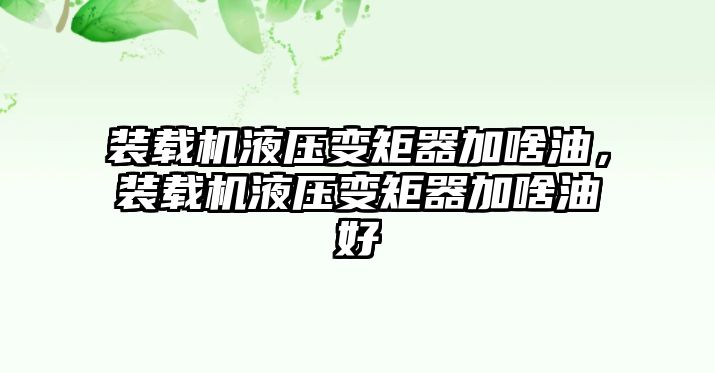 裝載機液壓變矩器加啥油，裝載機液壓變矩器加啥油好