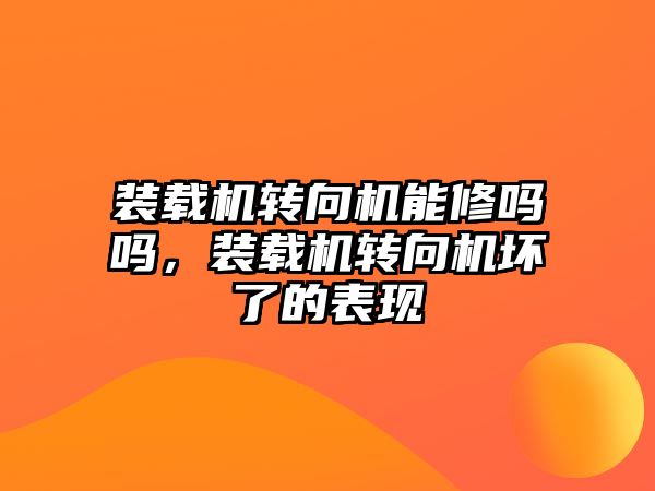 裝載機轉向機能修嗎嗎，裝載機轉向機壞了的表現