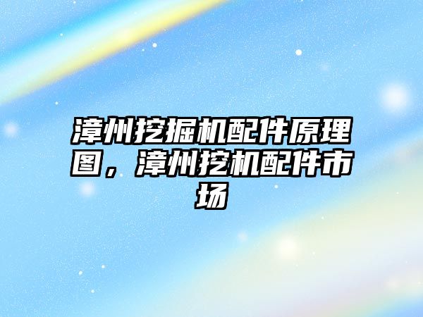 漳州挖掘機配件原理圖，漳州挖機配件市場