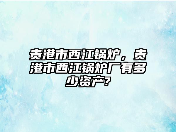 貴港市西江鍋爐，貴港市西江鍋爐廠有多少資產?